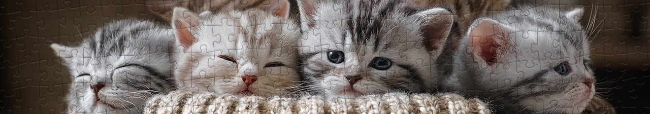 Kattenpuzzels