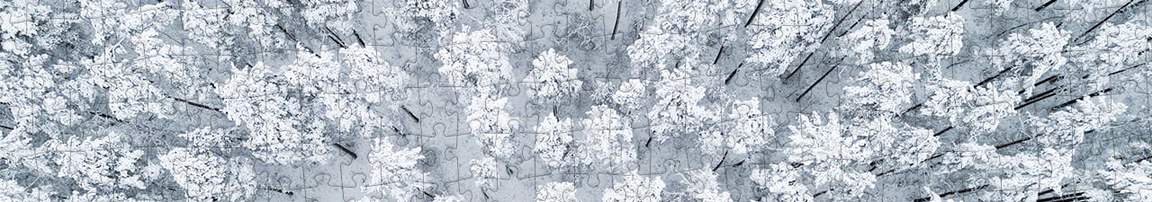 Puzzel Collectie Winter puzzleYOU