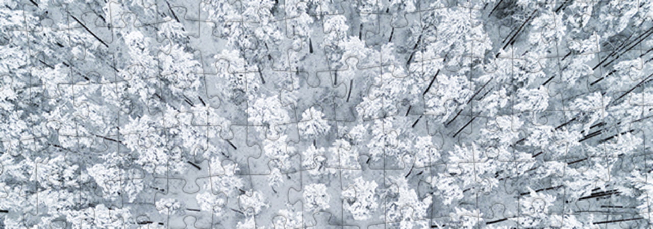 Puzzel Collectie Winter puzzleYOU