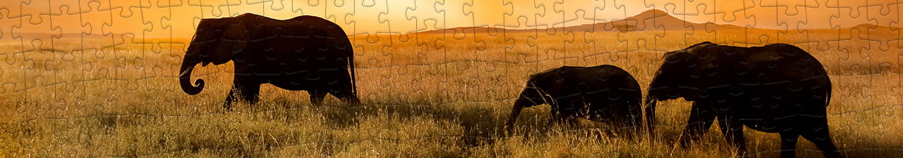 Puzzel Collectie 100 stukjes puzzleYOU