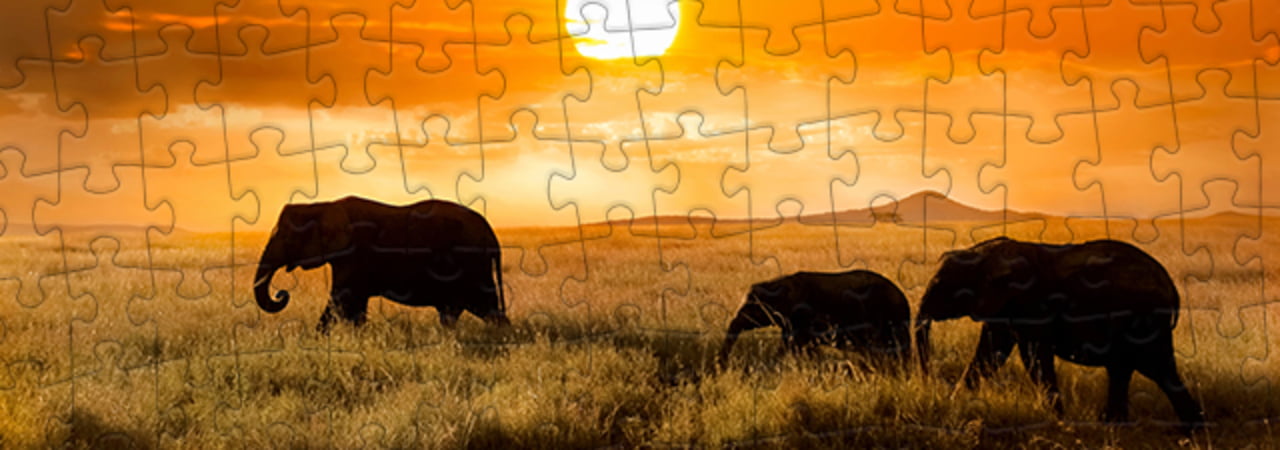 Puzzel Collectie 100 stukjes puzzleYOU